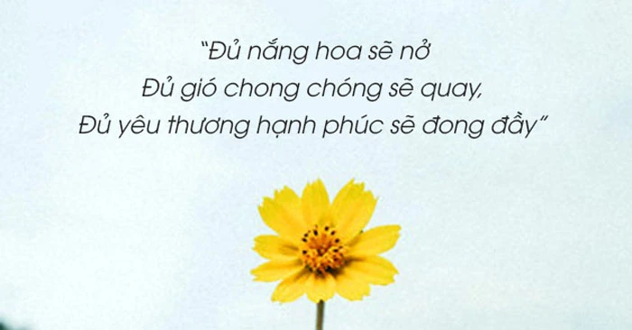 Ý nghĩa sâu sắc của hoa trong cuộc sống