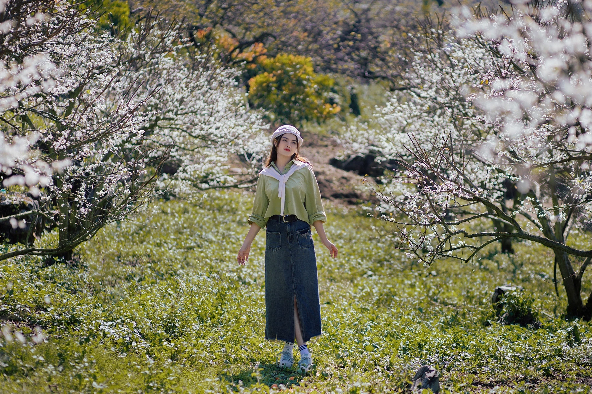 Hoa mận Mộc Châu nở sớm, chủ vườn đón trên 500 khách mỗi ngày