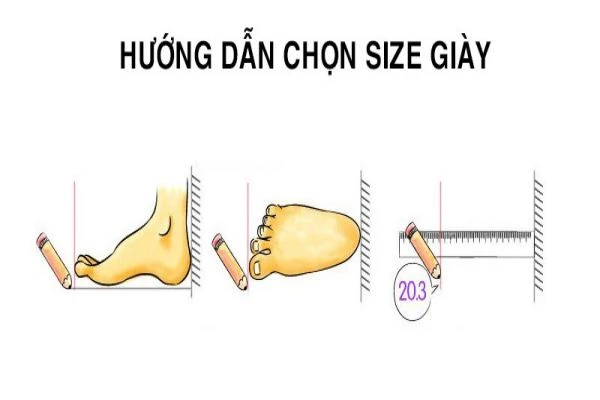 Hướng dẫn chọn bảng đo size giày chính xác