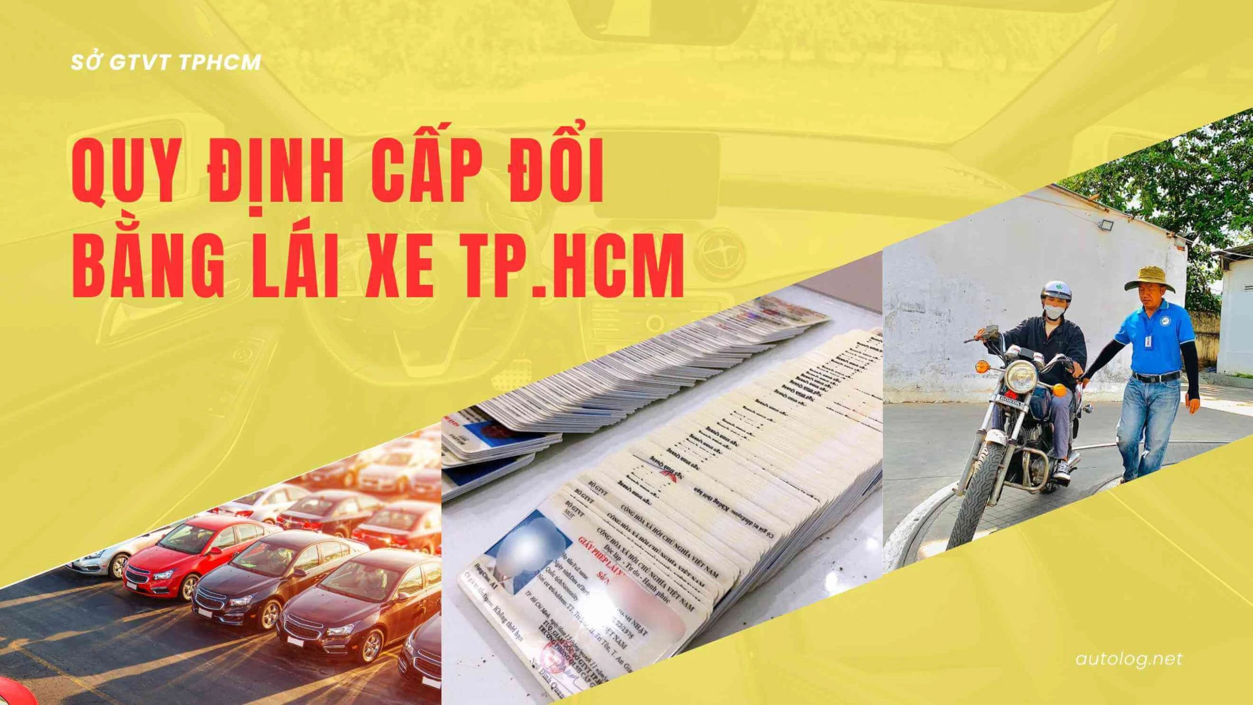 Thủ tục đổi giấy phép lái xe tại TPHCM cần biết