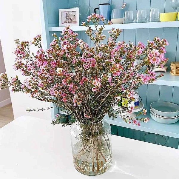 Hướng dẫn cách cắm hoa thanh liễu ngày Tết chi tiết, dễ hiểu