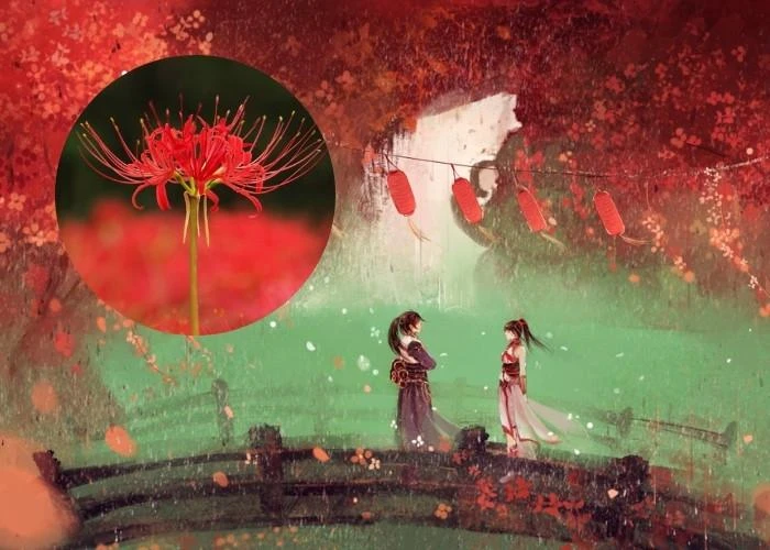 Hoa bỉ ngạn đỏ và những câu chuyện tâm linh sâu sắc