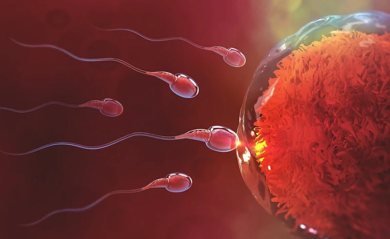 Giấy siêu âm thai 1 tuần tuổi và những điều cần biết