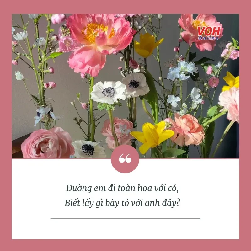 Stt thả thính về hoa ngọt ngào gửi đến người yêu