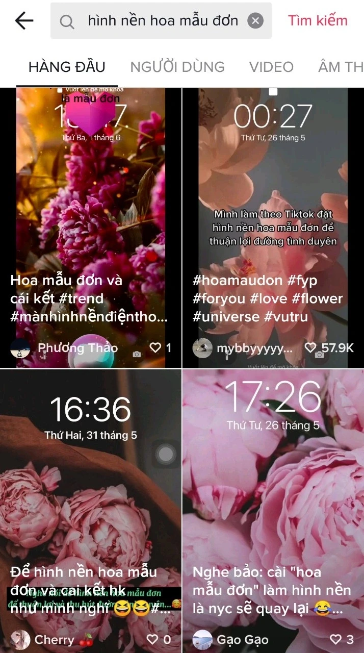 Hình nền hoa mẫu đơn thu hút tình duyên tuyệt vời