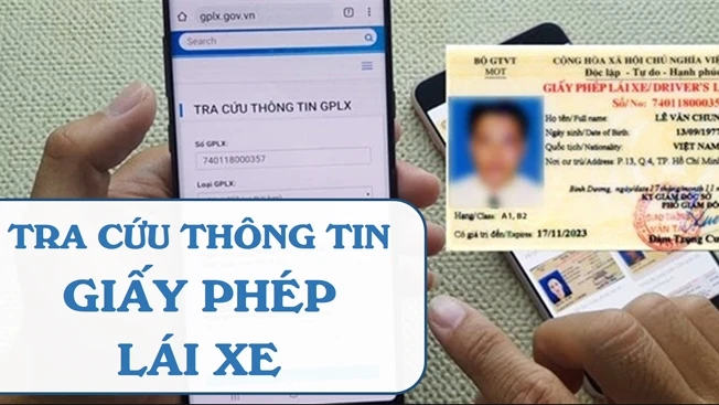 Các loại giấy phép lái xe tại Việt Nam hiện nay