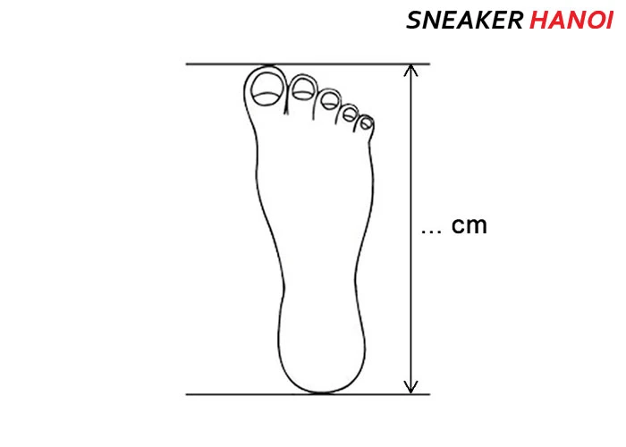 Giày size bao nhiêu cho chân 24cm chuẩn xác nhất