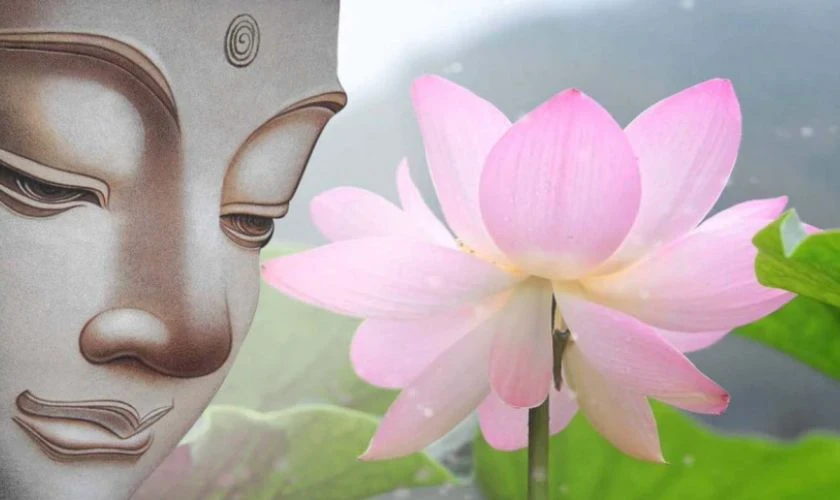 Ý Nghĩa Sâu Sắc Của Hình Hoa Sen Tăng Trong Phật Giáo