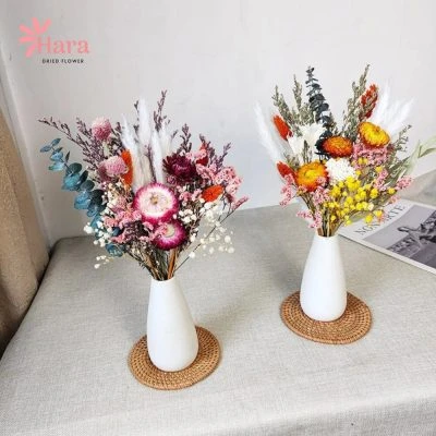 999+ mẫu hoa khô trang trí, nguyên liệu hoa khô - Hoa khô Hara