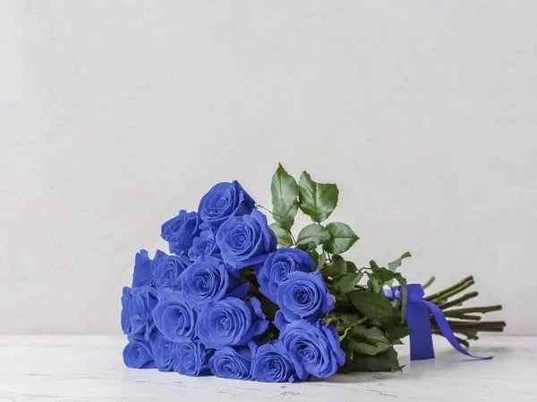 10+ Hoa Màu Xanh Tặng 20/10 Đẹp, Ấn Tượng Cho Mẹ, NY [2024]