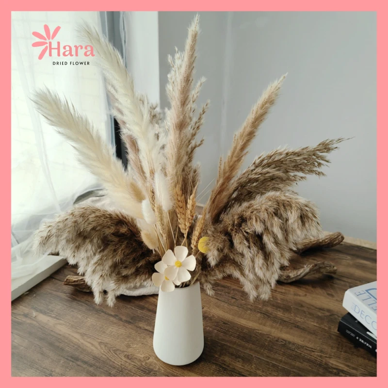 999+ mẫu hoa khô trang trí, nguyên liệu hoa khô - Hoa khô Hara