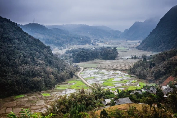 Hòa bình có gì hay mà ai đi cũng không nỡ về ?