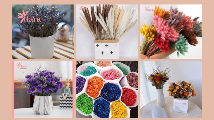 999+ mẫu hoa khô trang trí, nguyên liệu hoa khô - Hoa khô Hara