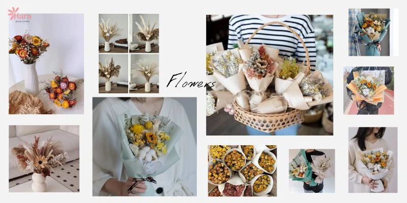 999+ mẫu hoa khô trang trí, nguyên liệu hoa khô - Hoa khô Hara