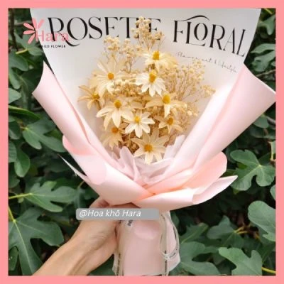 999+ mẫu hoa khô trang trí, nguyên liệu hoa khô - Hoa khô Hara