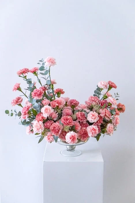 Bí quyết cắm hoa cẩm chướng đẹp, đơn giản, và lâu tươi