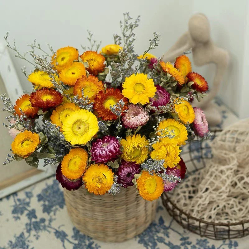 999+ mẫu hoa khô trang trí, nguyên liệu hoa khô - Hoa khô Hara