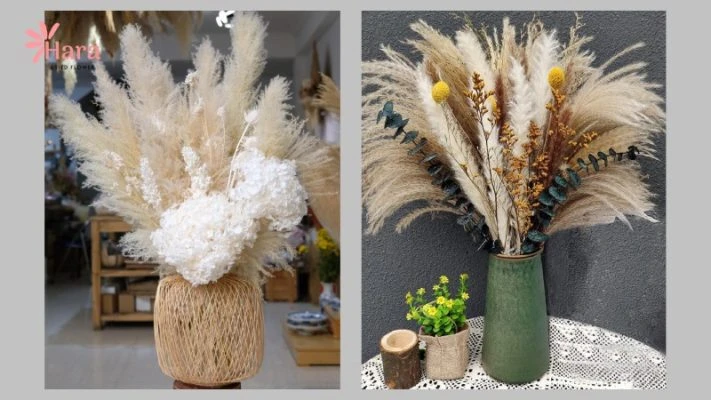 999+ mẫu hoa khô trang trí, nguyên liệu hoa khô - Hoa khô Hara