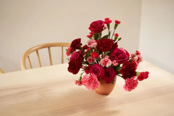 Bí quyết cắm hoa cẩm chướng đẹp, đơn giản, và lâu tươi