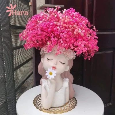 999+ mẫu hoa khô trang trí, nguyên liệu hoa khô - Hoa khô Hara