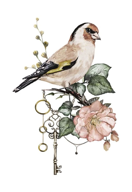 Hoa trong gương là gì và ý nghĩa sâu sắc của nó