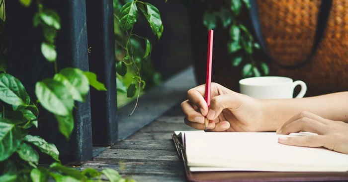 Khám Phá Vẻ Đẹp Tình Yêu Qua Hoa Hồng