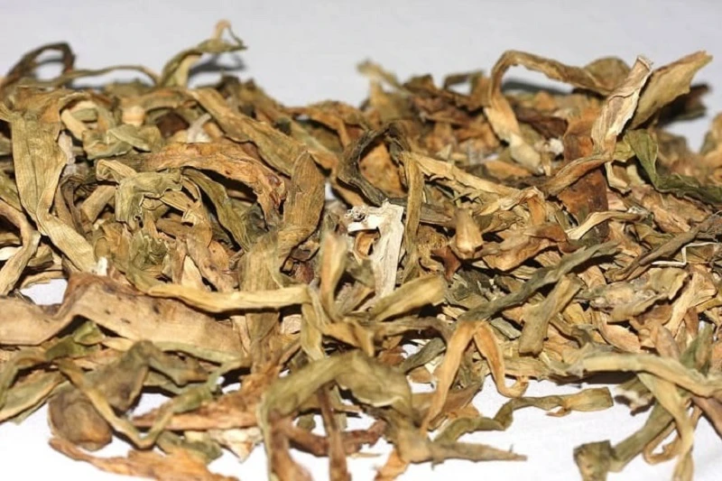 Cây náng hoa trắng - dược liệu đa lợi ích cho sức khỏe con người