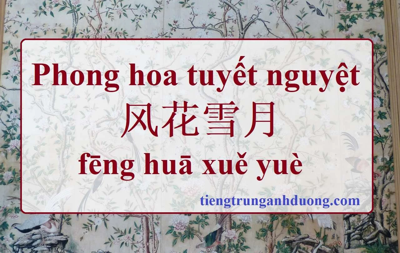 Khám Phá Ý Nghĩa Phong Hoa Tuyết Nguyệt Trong Văn Hóa