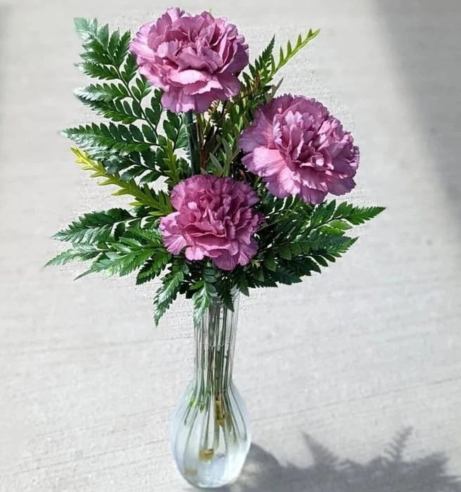 Bí quyết cắm hoa cẩm chướng đẹp, đơn giản, và lâu tươi