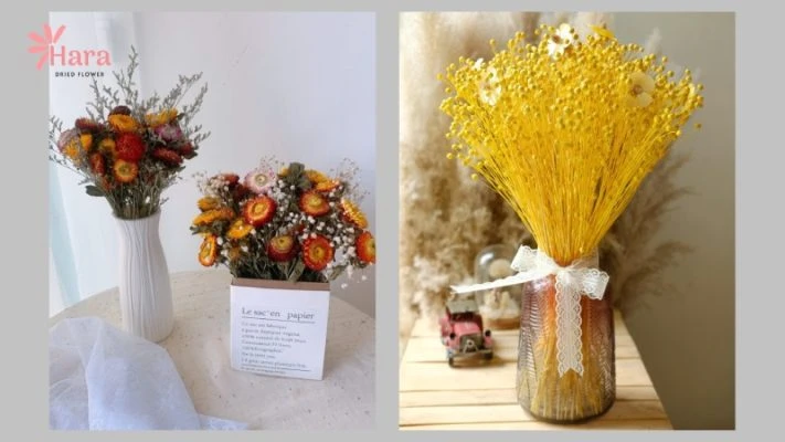 999+ mẫu hoa khô trang trí, nguyên liệu hoa khô - Hoa khô Hara