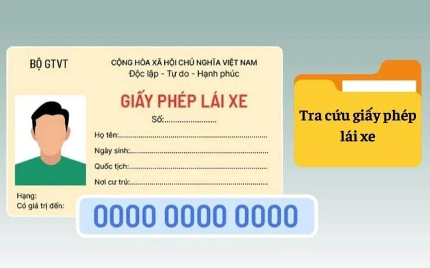 Hướng dẫn tra cứu giấy phép lái xe bị tạm giữ trực tuyến