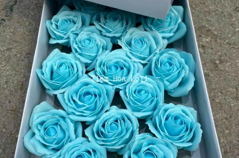 Hoa Sáp Là Gì? Ý Nghĩa, Thành Phần Và Ưu Điểm Của Hoa Sáp