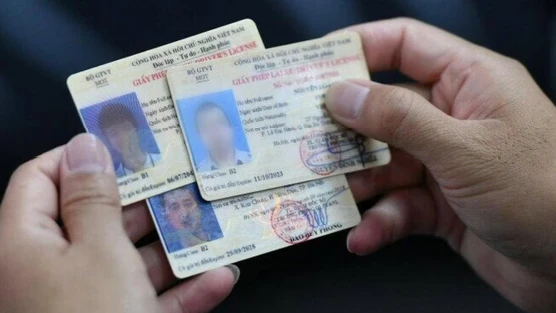 Tra cứu giấy phép lái xe bị tạm giữ như thế nào?