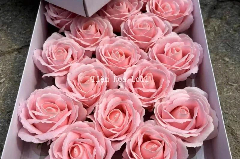 Hoa Sáp Là Gì? Ý Nghĩa, Thành Phần Và Ưu Điểm Của Hoa Sáp