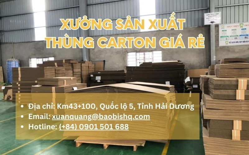 Giấy gió là gì? Từ cây dó đến văn hóa truyền thống