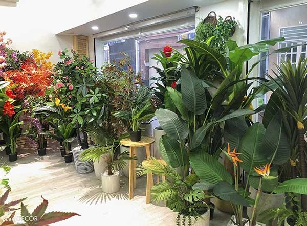 CÂY HOA BẠCH TRÀ 150CM | LAN DECOR | LC3012 - Tường cây giả