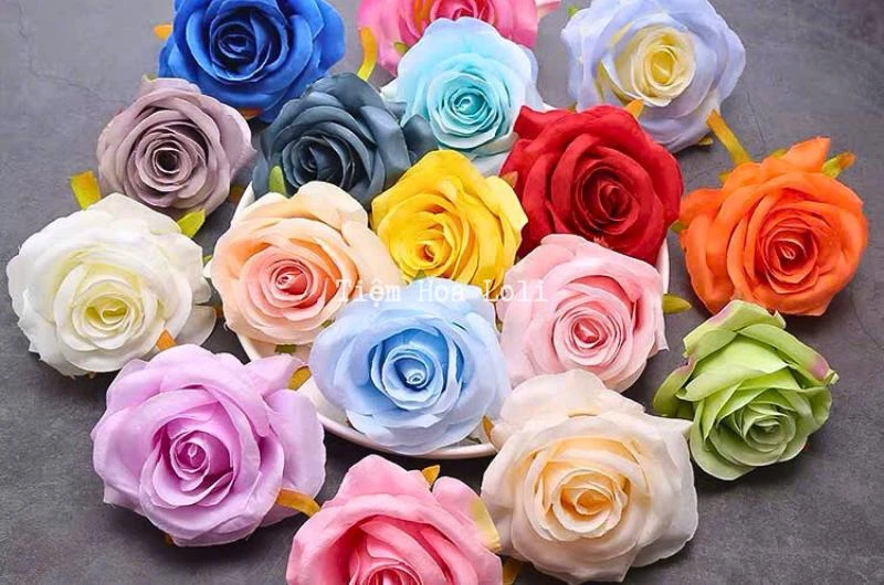 Hoa sáp là gì và đặc điểm nổi bật của nó