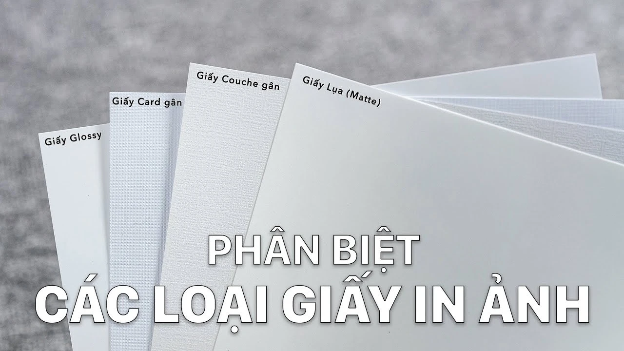 Bạn có từng thắc mắc: “Giấy làm từ gì?”