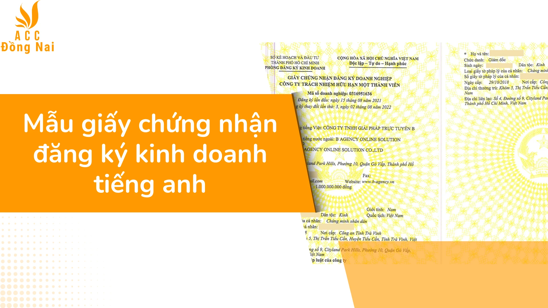 Giấy phép kinh doanh tiếng anh và quy trình đăng ký