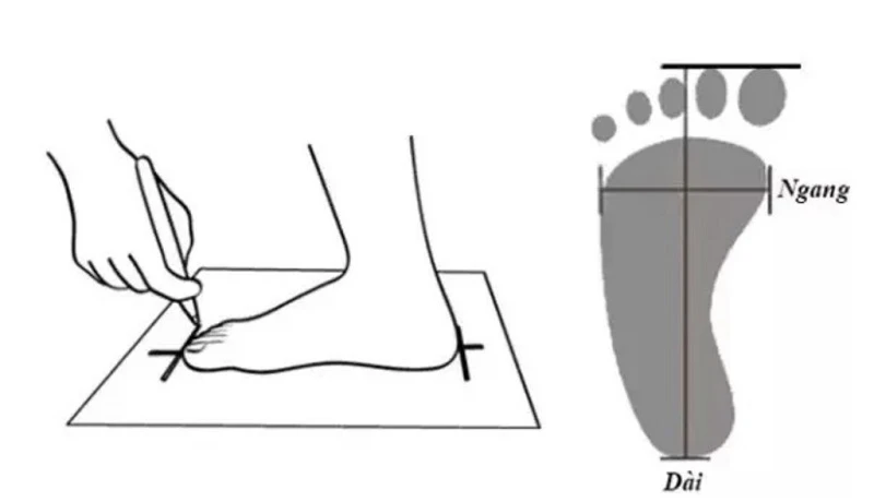 Size Giày Asics - Hướng Dẫn Chọn Size Chuẩn Nhất