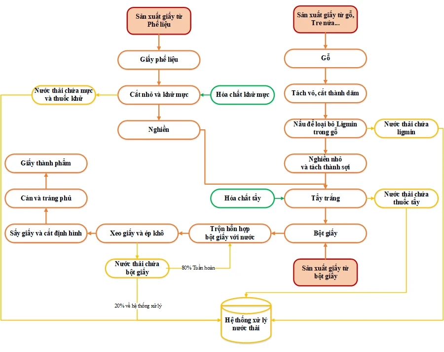 Bạn có từng thắc mắc: “Giấy làm từ gì?”