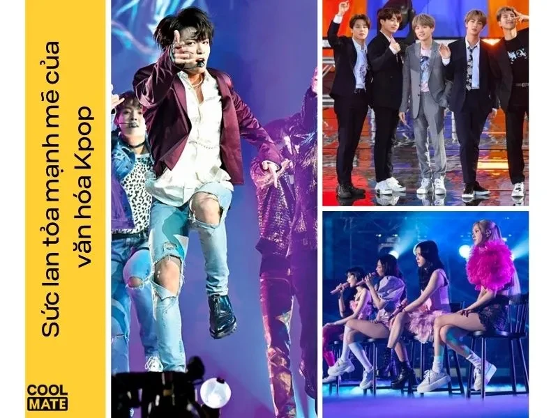 15 thương hiệu giày Hàn Quốc ngon, bổ, rẻ, được yêu thích nhất