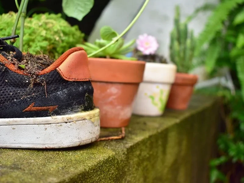 Giày sneaker là gì và nguồn gốc của chúng