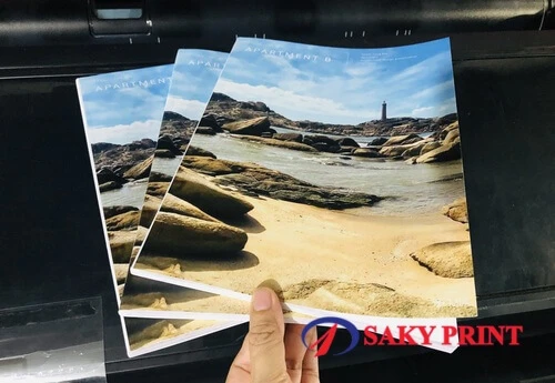 In màu giấy cứng ở đâu