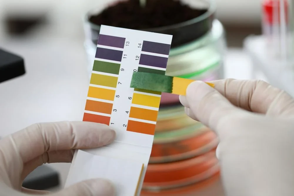 Giấy quỳ tím mua ở đâu cho mẹ bầu?