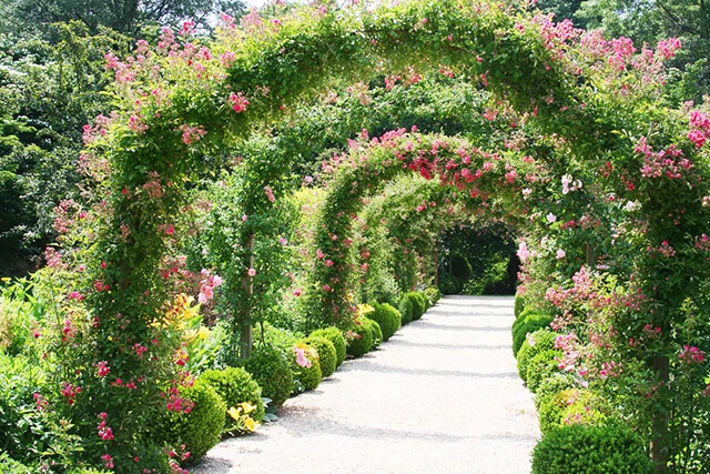 Tuyển tập các mẫu giàn hoa sắt đẹp và độc đáo nhất 2024