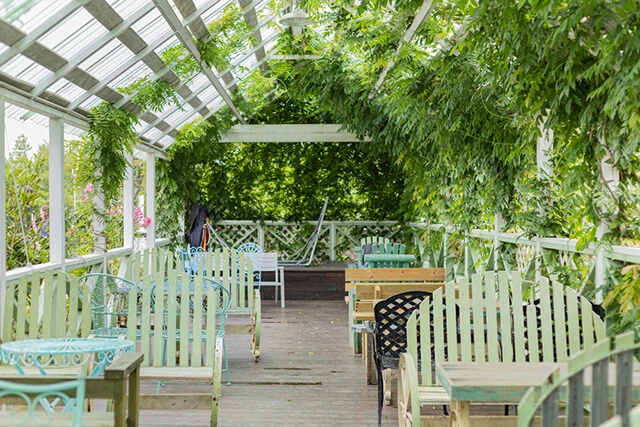 Tuyển tập các mẫu giàn hoa sắt đẹp và độc đáo nhất 2024