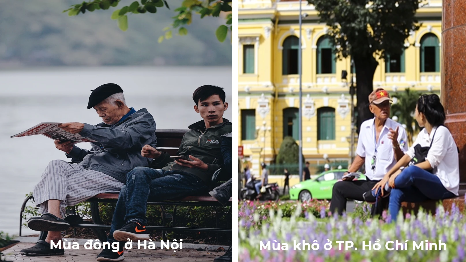 Sự phân hóa đa dạng của tự nhiên ở Việt Nam