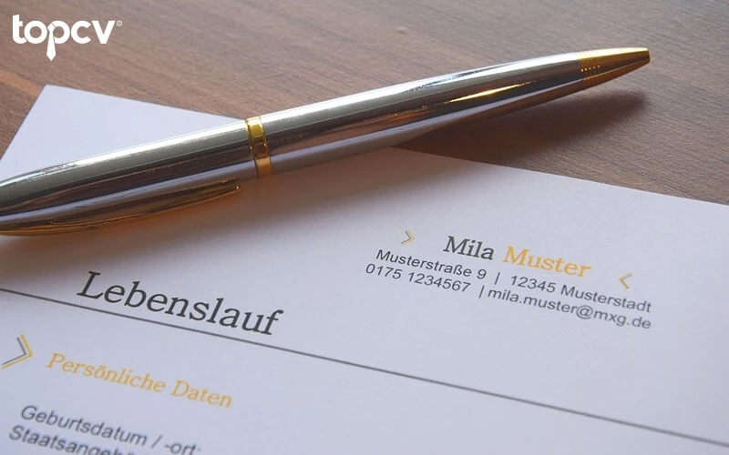 Hướng Dẫn Viết Sơ Yếu Lịch Tự Thuật Hiệu Quả