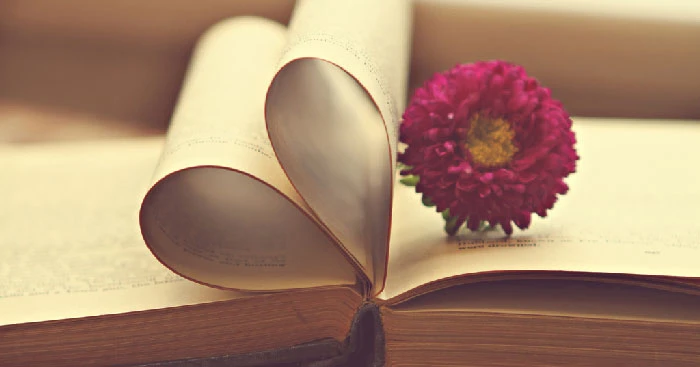 Cách Viết Bài Giới Thiệu Sách Yêu Thích Hiệu Quả